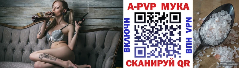 Альфа ПВП СК КРИС  omg ссылки  Пионерский 