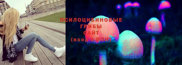 прущая мука Богородск