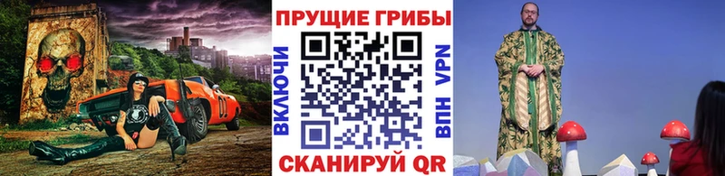 Галлюциногенные грибы мицелий Пионерский