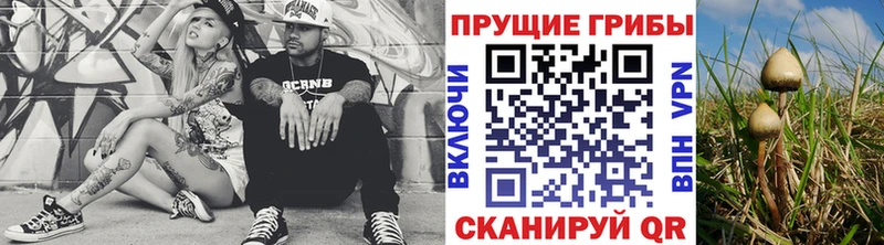 Галлюциногенные грибы Psilocybine cubensis  Пионерский 
